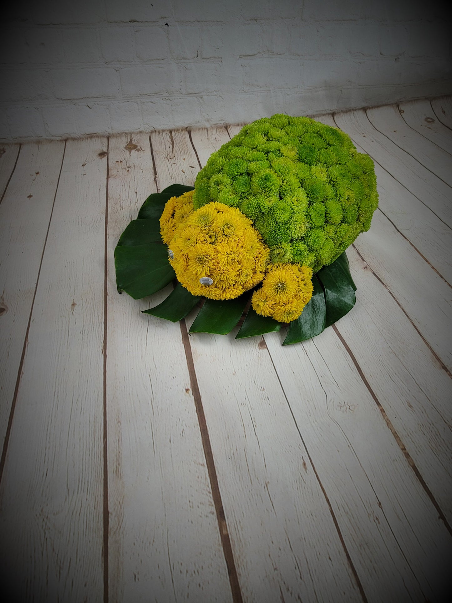 Turtle flowers