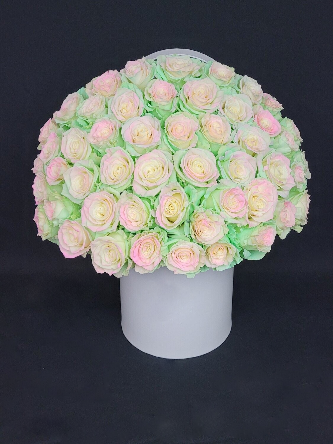 Dyed roses in white box