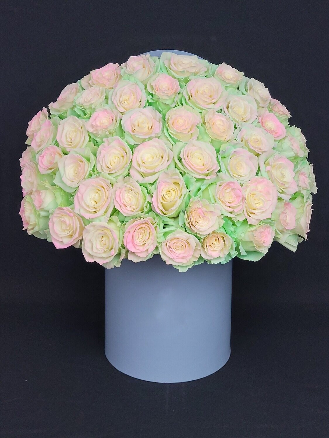 Dyed roses in blue box