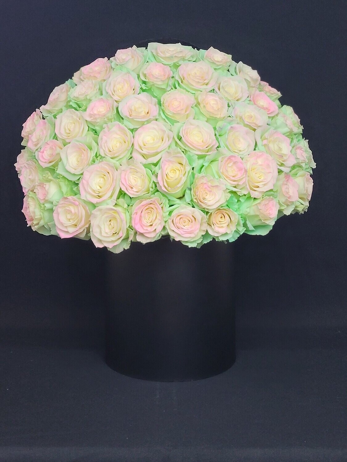 Dyed roses in black box
