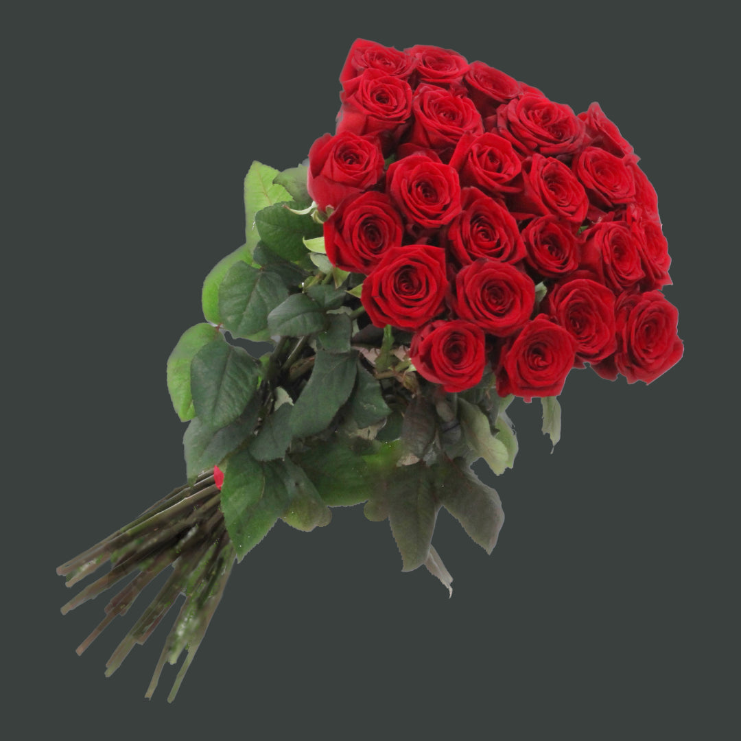 2 dozen long stem red roses