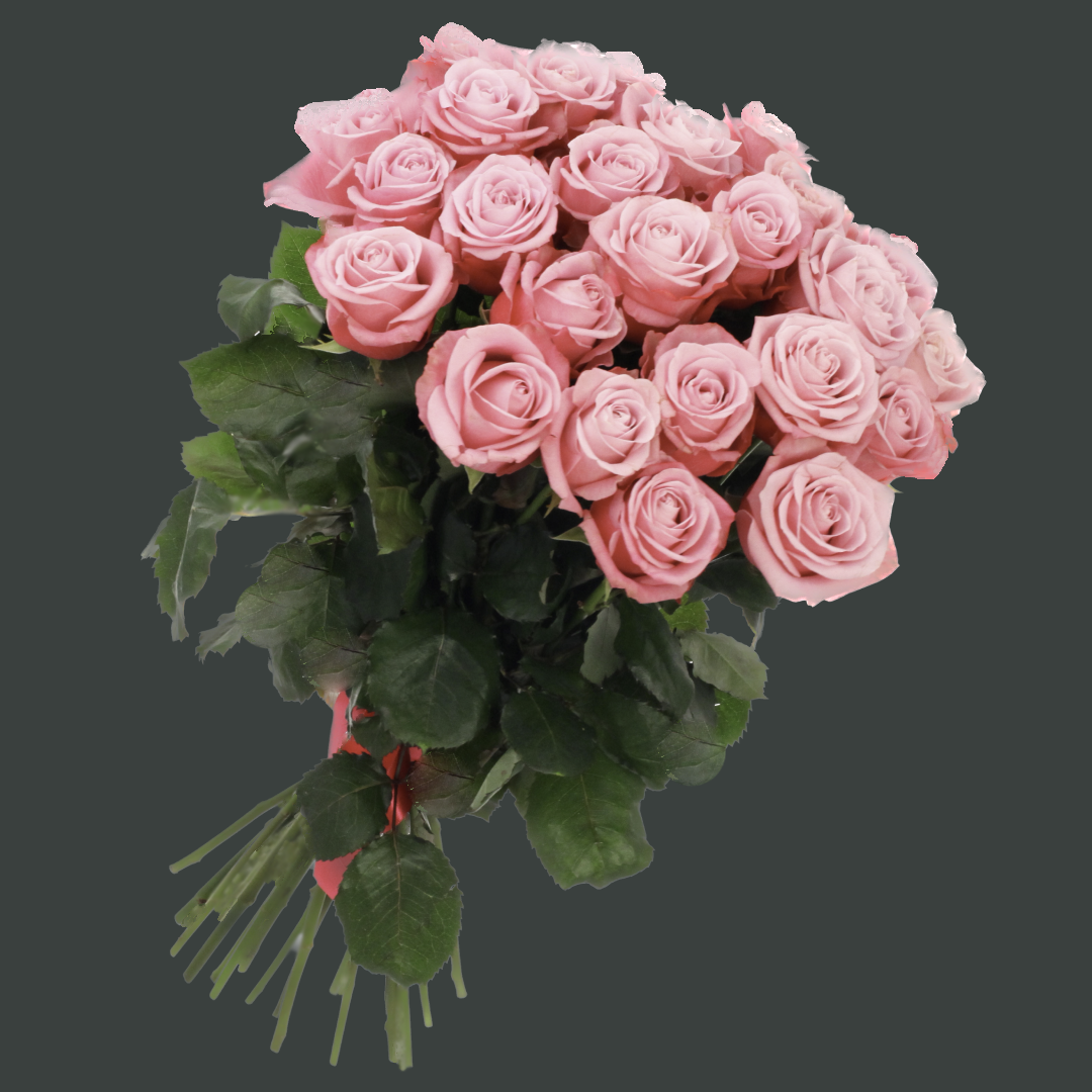 2 dozen pink roses