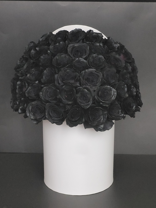 Black roses in white box