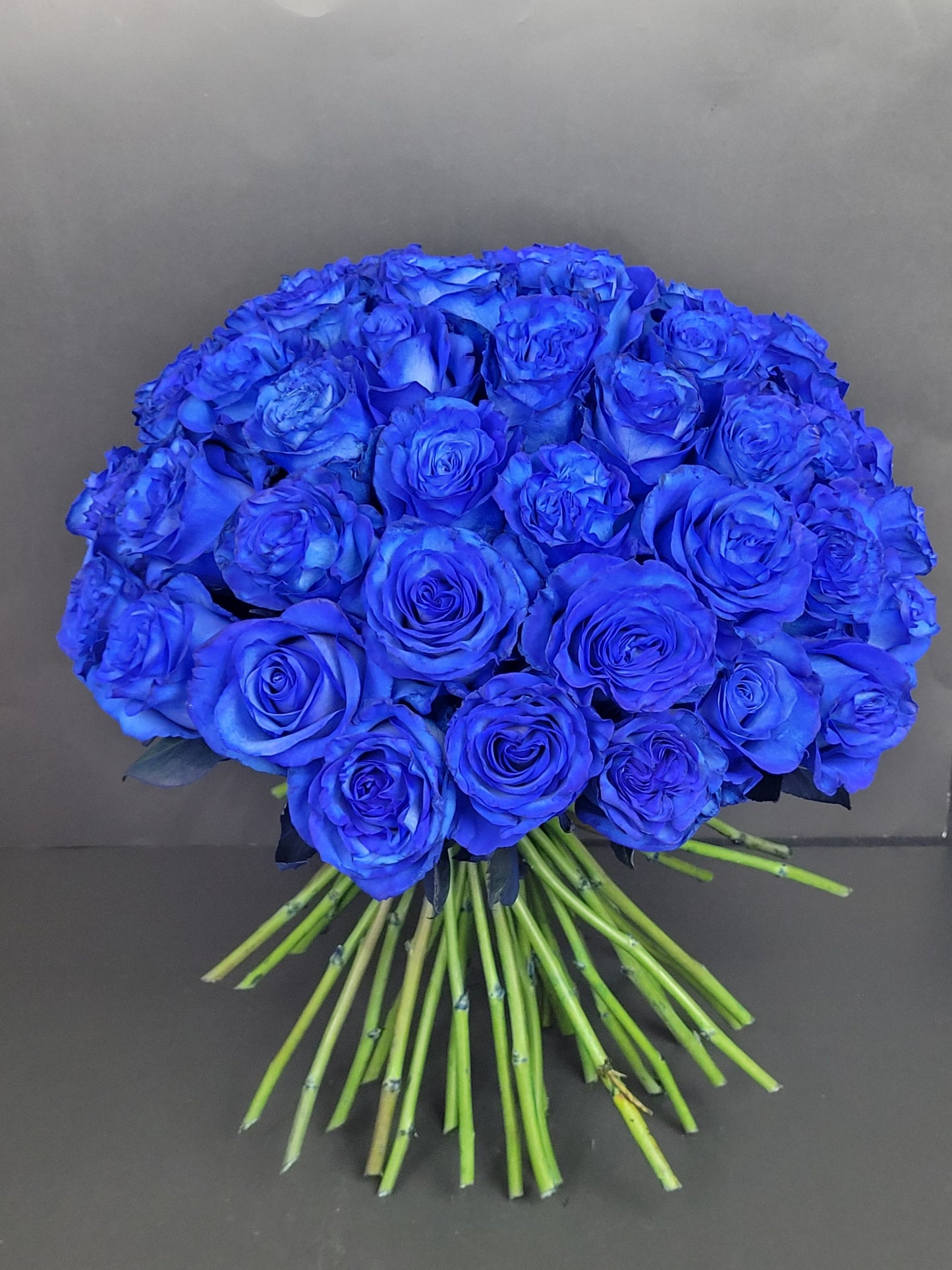 50 blue roses