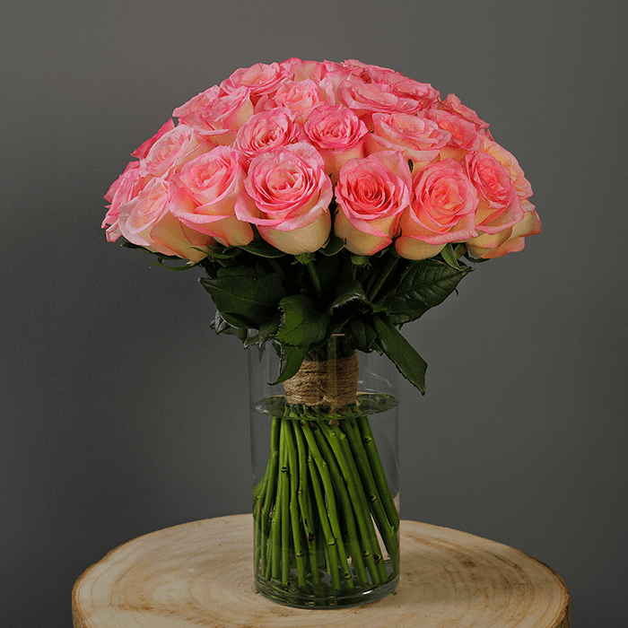 Pink roses in a vase